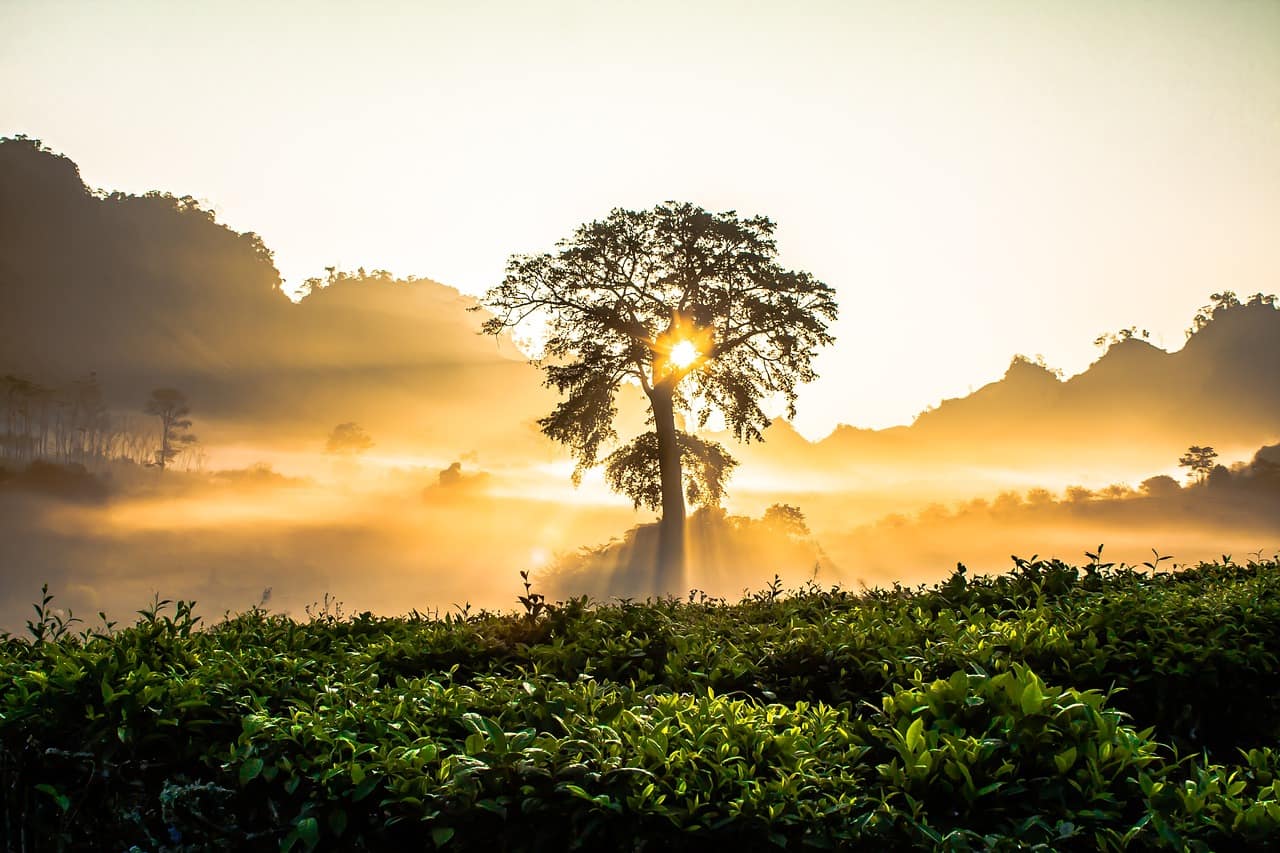 lever de soleil